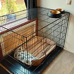 Toermalijn * סימפלוולד