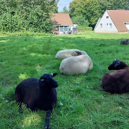 Toermalijn Holiday home Simpelveld