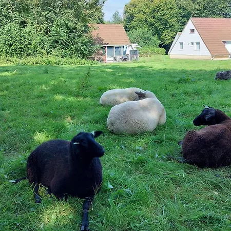 Toermalijn Hébergement de vacances Simpelveld
