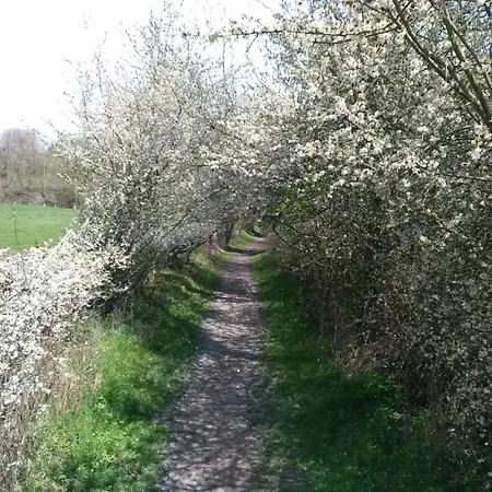 Toermalijn * Simpelveld