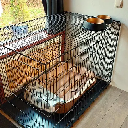 Toermalijn * Simpelveld