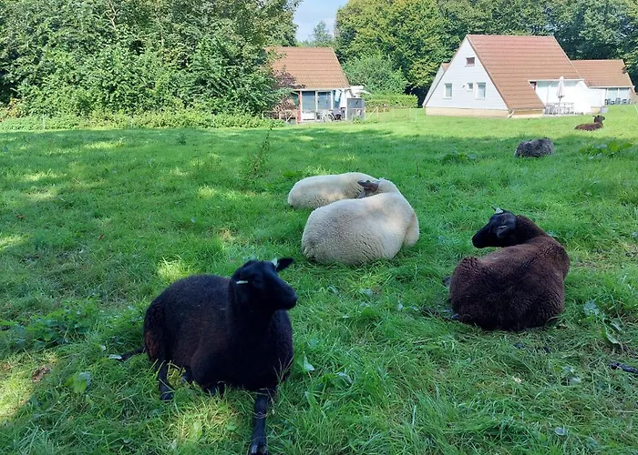 Toermalijn Feriehus Simpelveld