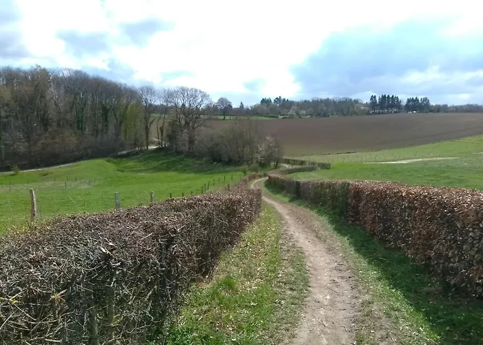 Toermalijn * Симпелвелд