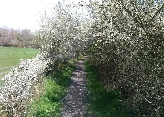 Toermalijn * Simpelveld