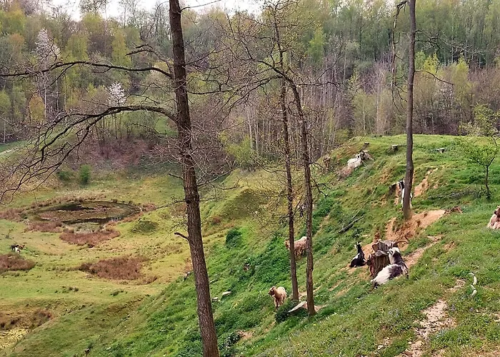 Toermalijn Дом отдыха *