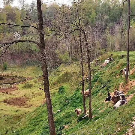 Toermalijn Tatil Evi *